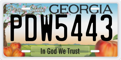 GA license plate PDW5443
