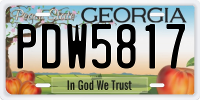 GA license plate PDW5817