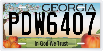 GA license plate PDW6407