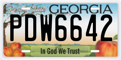 GA license plate PDW6642