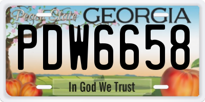 GA license plate PDW6658