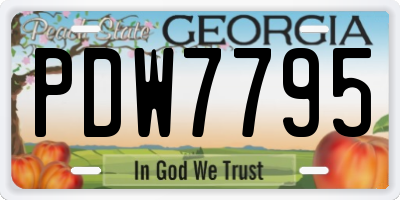GA license plate PDW7795