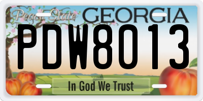 GA license plate PDW8013