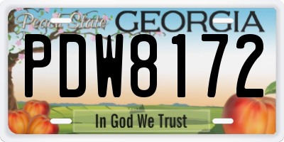 GA license plate PDW8172