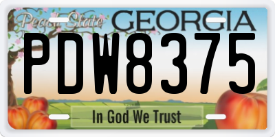 GA license plate PDW8375