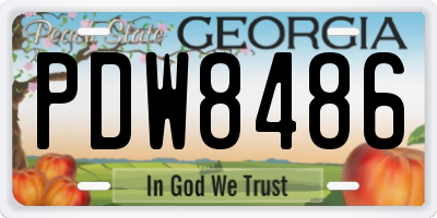 GA license plate PDW8486