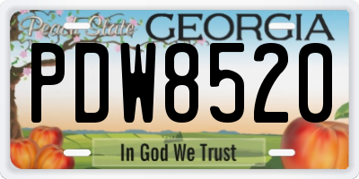 GA license plate PDW8520