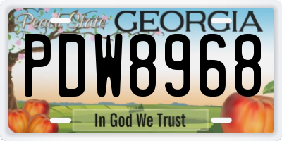 GA license plate PDW8968