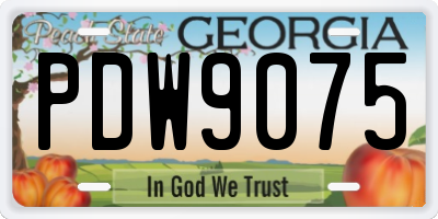 GA license plate PDW9075