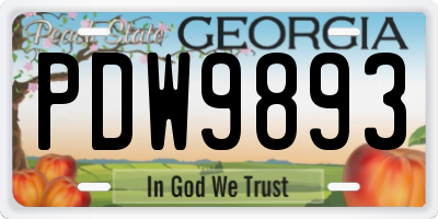 GA license plate PDW9893
