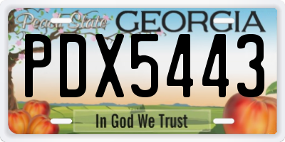 GA license plate PDX5443