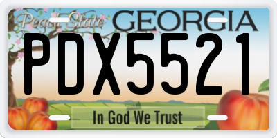 GA license plate PDX5521