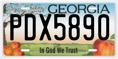 GA license plate PDX5890