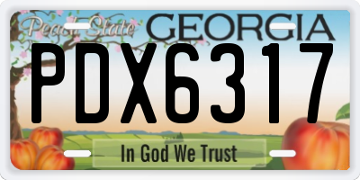 GA license plate PDX6317