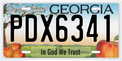 GA license plate PDX6341