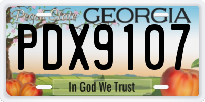 GA license plate PDX9107