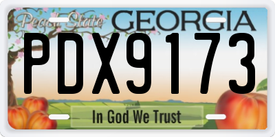 GA license plate PDX9173