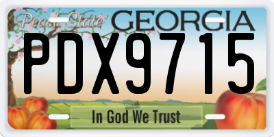 GA license plate PDX9715