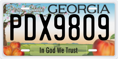 GA license plate PDX9809