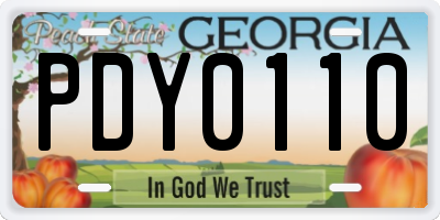 GA license plate PDY0110