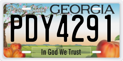 GA license plate PDY4291