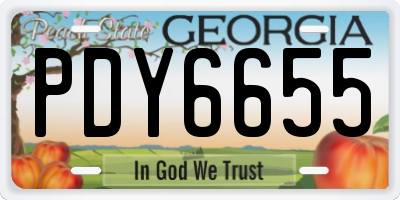 GA license plate PDY6655