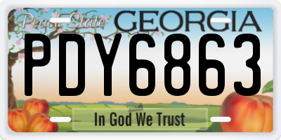 GA license plate PDY6863