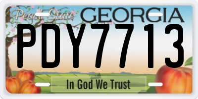 GA license plate PDY7713