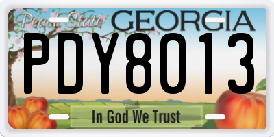 GA license plate PDY8013