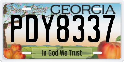 GA license plate PDY8337