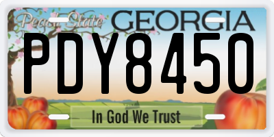 GA license plate PDY8450