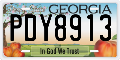GA license plate PDY8913