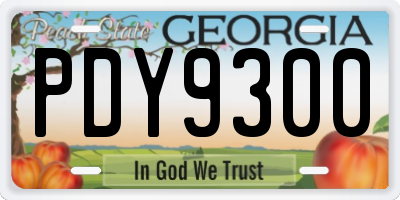 GA license plate PDY9300
