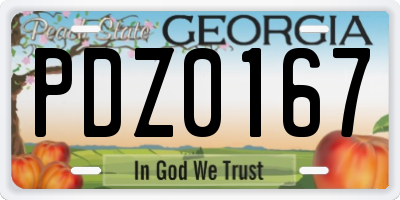 GA license plate PDZ0167