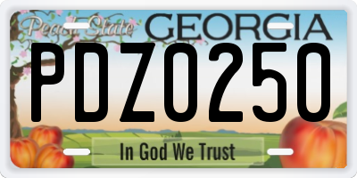 GA license plate PDZ0250