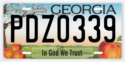 GA license plate PDZ0339