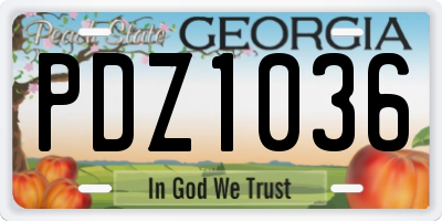 GA license plate PDZ1036
