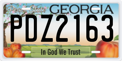 GA license plate PDZ2163