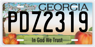 GA license plate PDZ2319