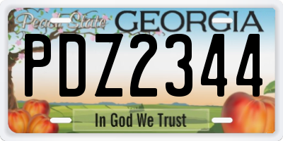 GA license plate PDZ2344