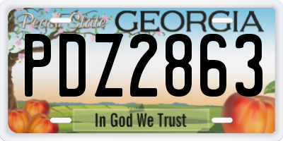 GA license plate PDZ2863