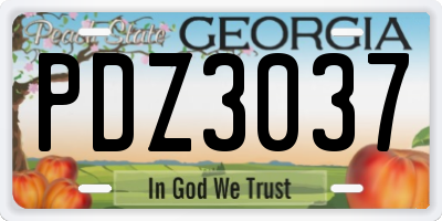 GA license plate PDZ3037