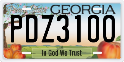 GA license plate PDZ3100