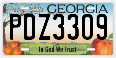 GA license plate PDZ3309