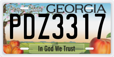 GA license plate PDZ3317