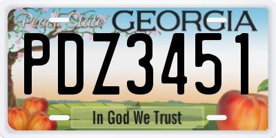 GA license plate PDZ3451