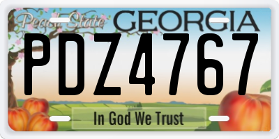 GA license plate PDZ4767