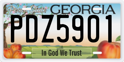 GA license plate PDZ5901