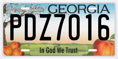GA license plate PDZ7016