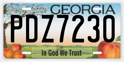 GA license plate PDZ7230